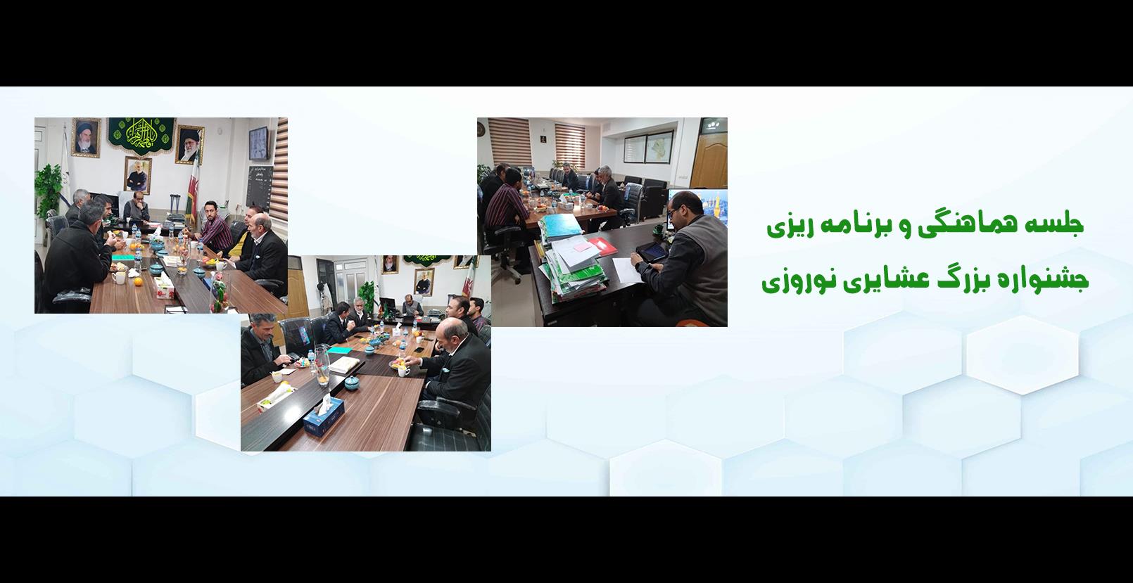 داده پردازی راشین آریا